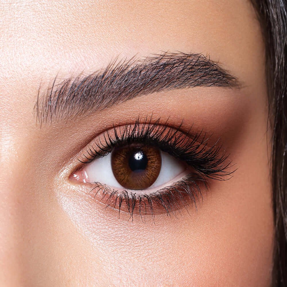 Bella BELLA ELITE Cinnamon Brown - Optica