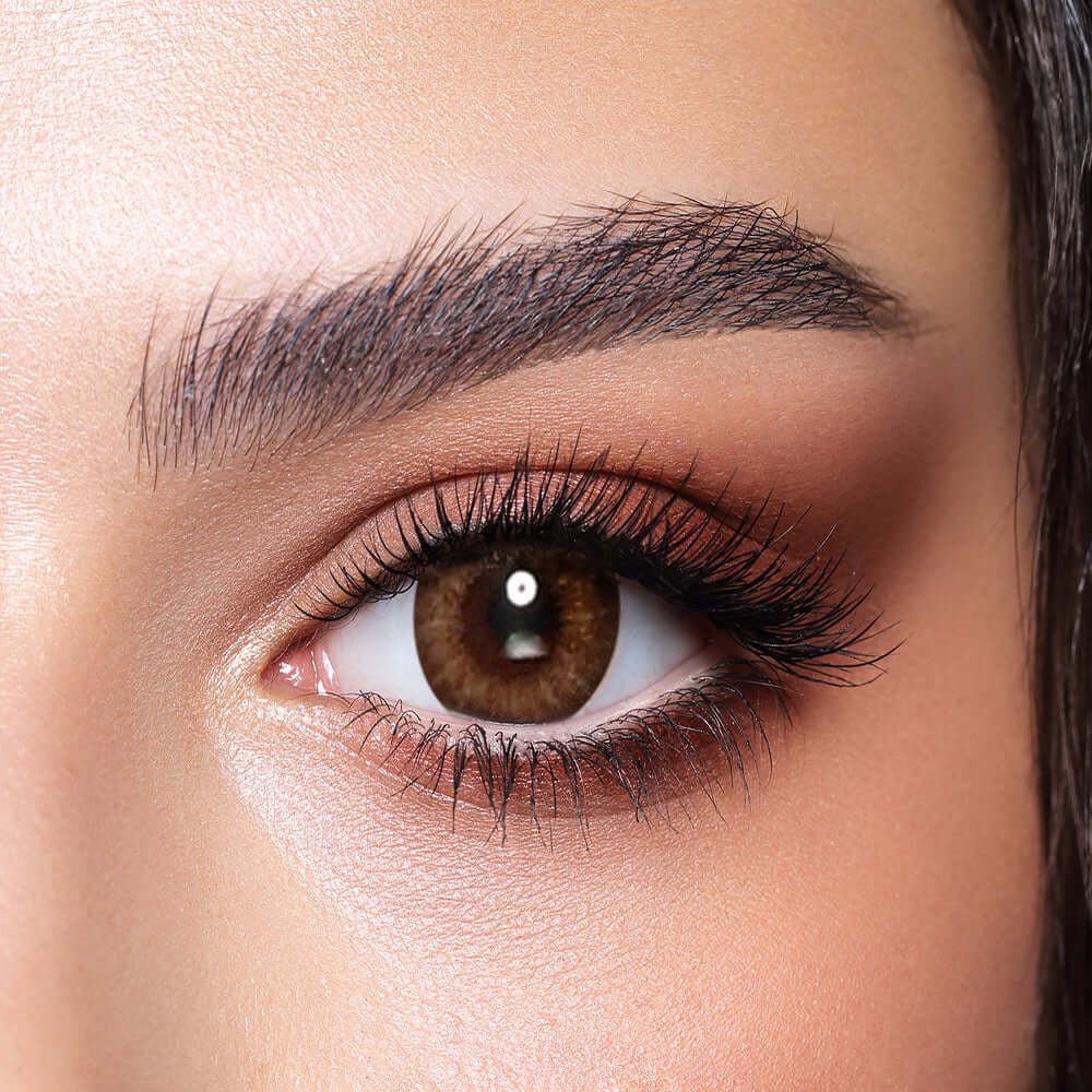 Bella BELLA ONE DAY COLOR Almond Brown - Optica
