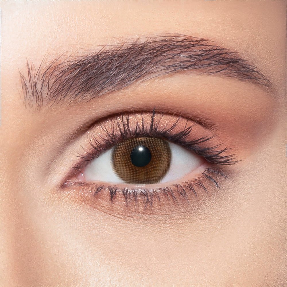 Bella BELLA ONE DAY COLOR NEW Siren Bronze - Optica