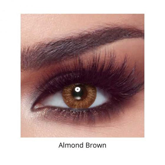 Bella One Day Color - Almond Brown with Power