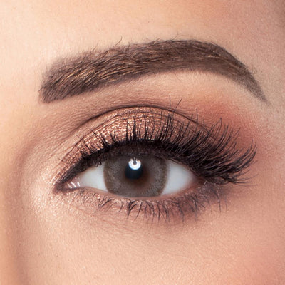 Amara Amara Colored Contact Lenses Dark Sepia - Optica