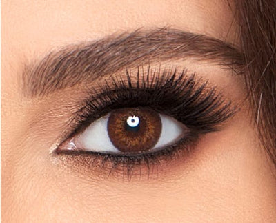 Freshlook 30005484 Brown - Optica
