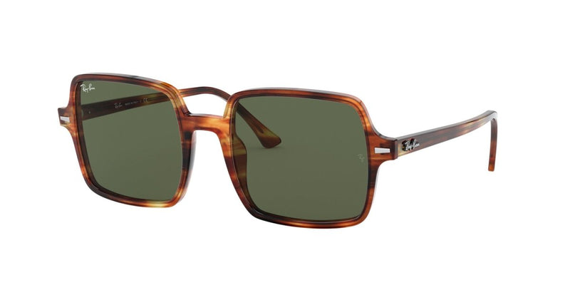 Ray-Ban RB1973 954/31 - Optica